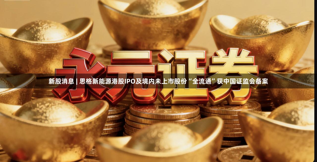 新股消息 | 思格新能源港股IPO及境内未上市股份“全流通”获中国证监会备案